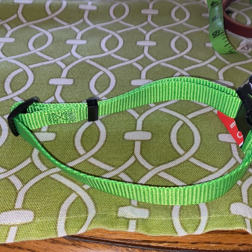 New Meijer medium dog collar - Picture 5 of 6